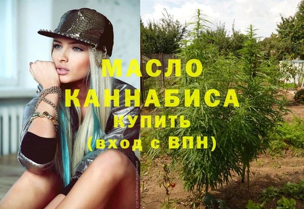 тгк Алзамай