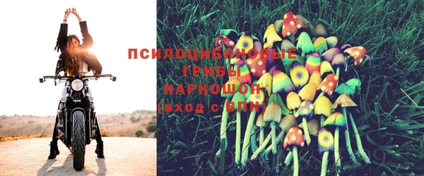 тгк Алзамай