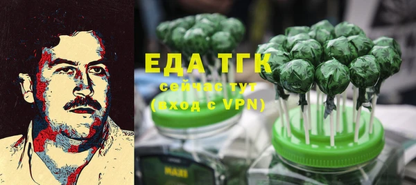 тгк Алзамай