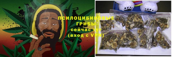 тгк Алзамай